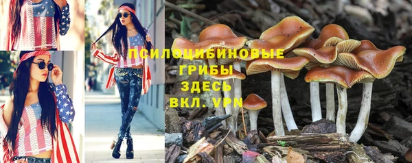 метамфетамин Нея