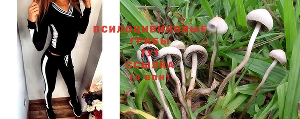 спиды Новодвинск