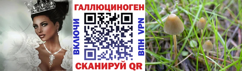 Галлюциногенные грибы мухоморы  Купить где  Карпинск 